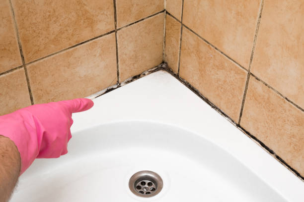 Best Mold Testing  in Strasburg, OH